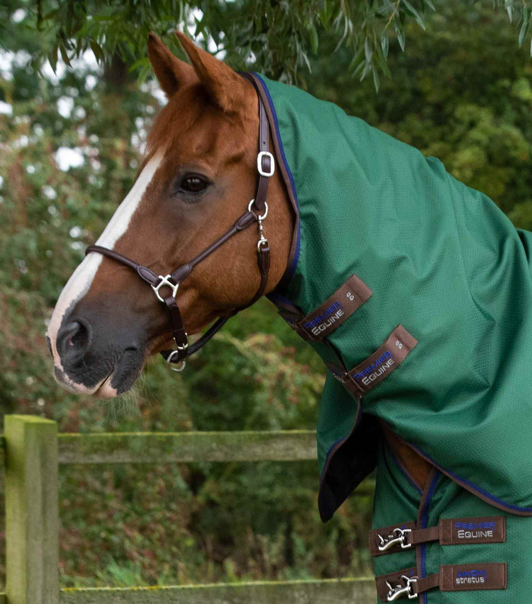 Akoni 0g Turnout Rug with Classic Neck Cover