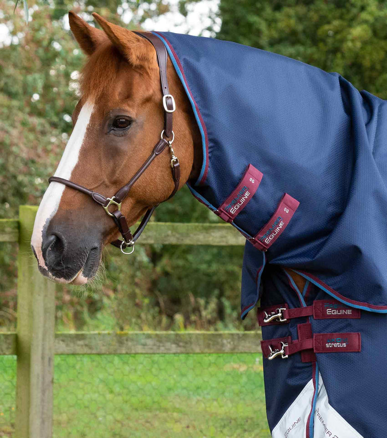 Akoni 0g Turnout Rug with Classic Neck Cover