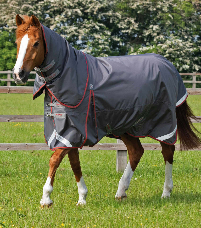 EX DISPLAY - Buster 150g Turnout Rug with Classic Neck Cover