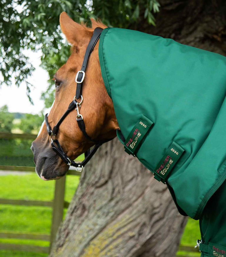 Buster Storm 220g Combo Turnout Rug with Classic Neck
