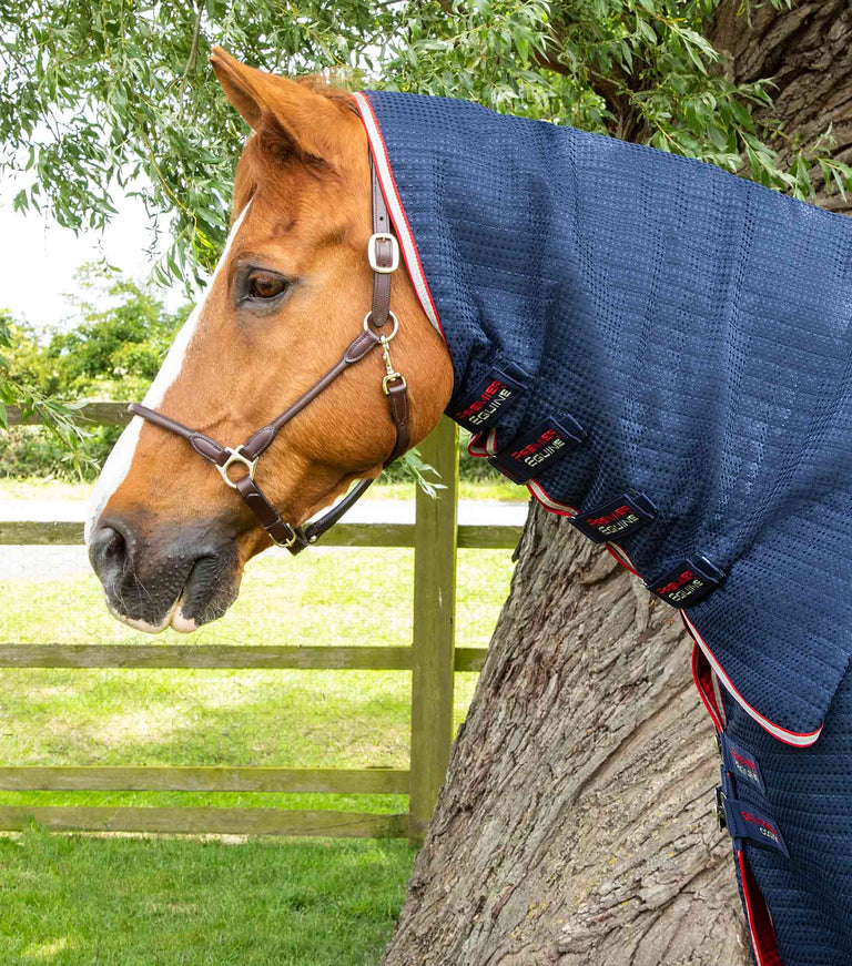 Combo Dry-Tech Horse Cooler Rug
