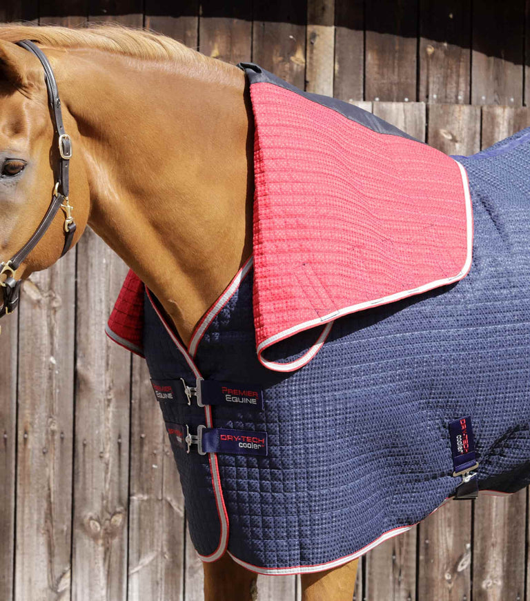 Combo Dry-Tech Horse Cooler Rug
