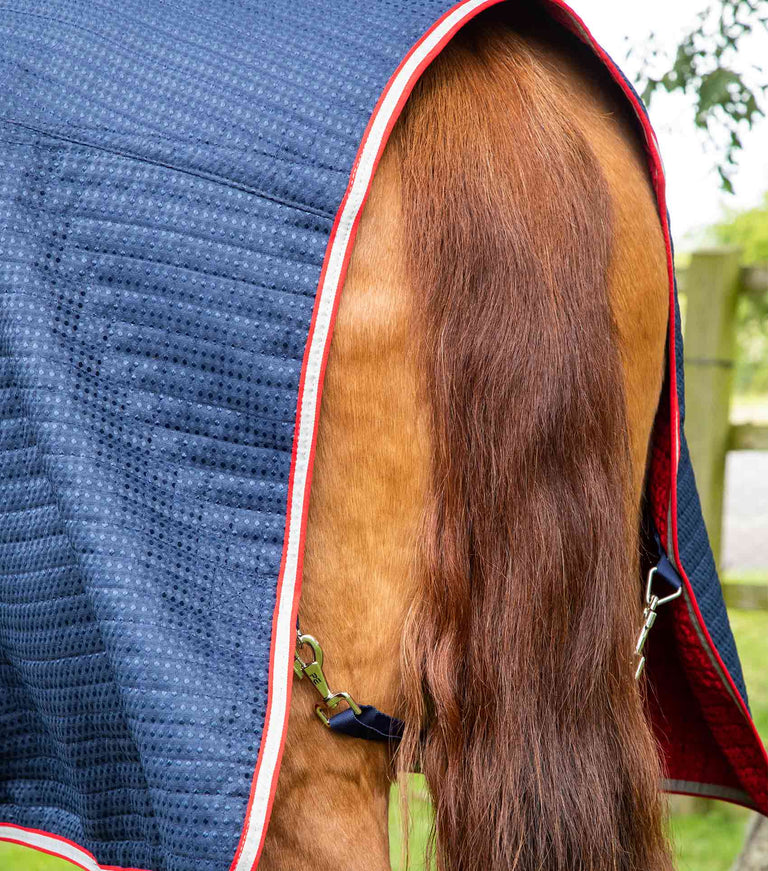 Combo Dry-Tech Horse Cooler Rug