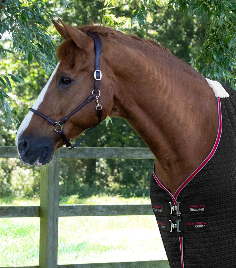 Dry-Tech Horse Cooler Rug