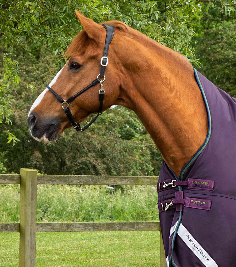 Buster Hardy 100g Half Neck Turnout Rug