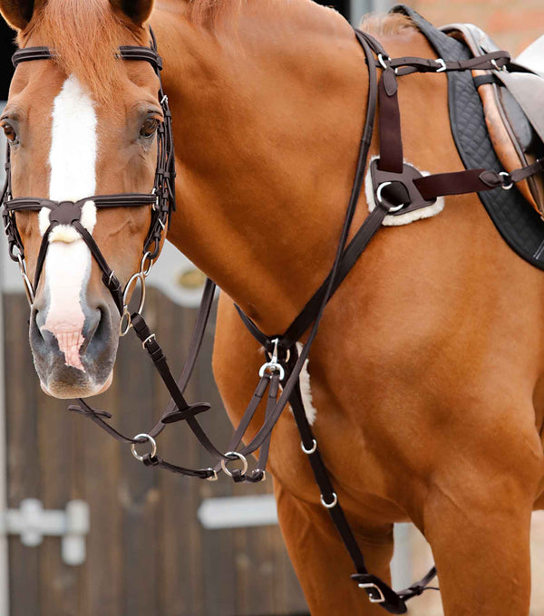 Reit ausrüstung Elastische Brustplatte Running Martingale für springende Pferde Reit ausrüstung Elastische Brustplatte Running Martingale für springende Pferde