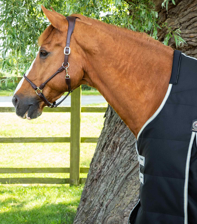 Lucanta Demi Stable 100g