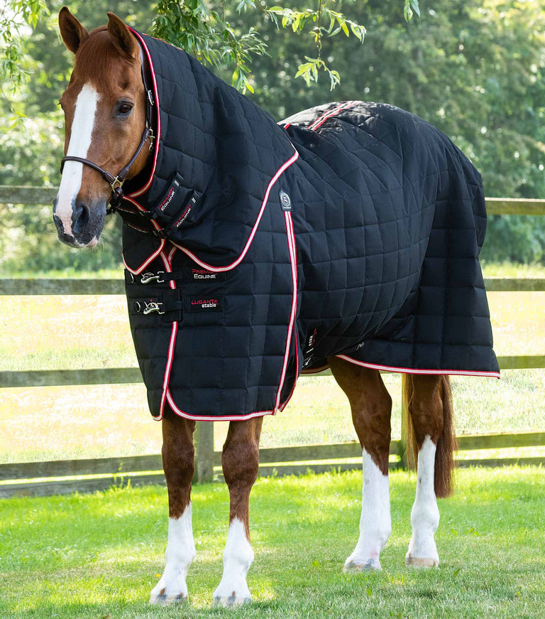 Lucanta 200g Stable Rug with Neck Cover