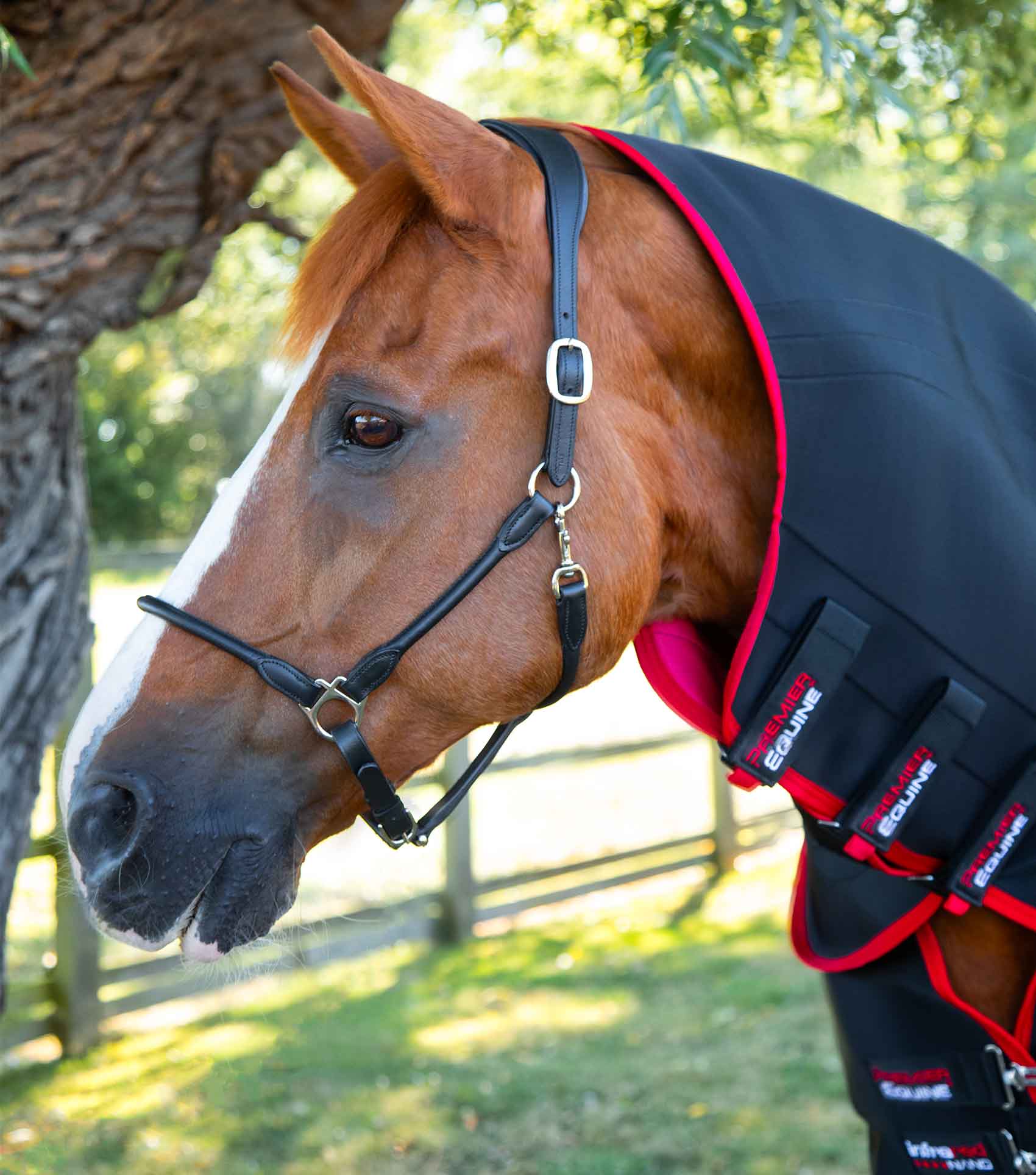 Nano-Tec Infrared Therapy Rug