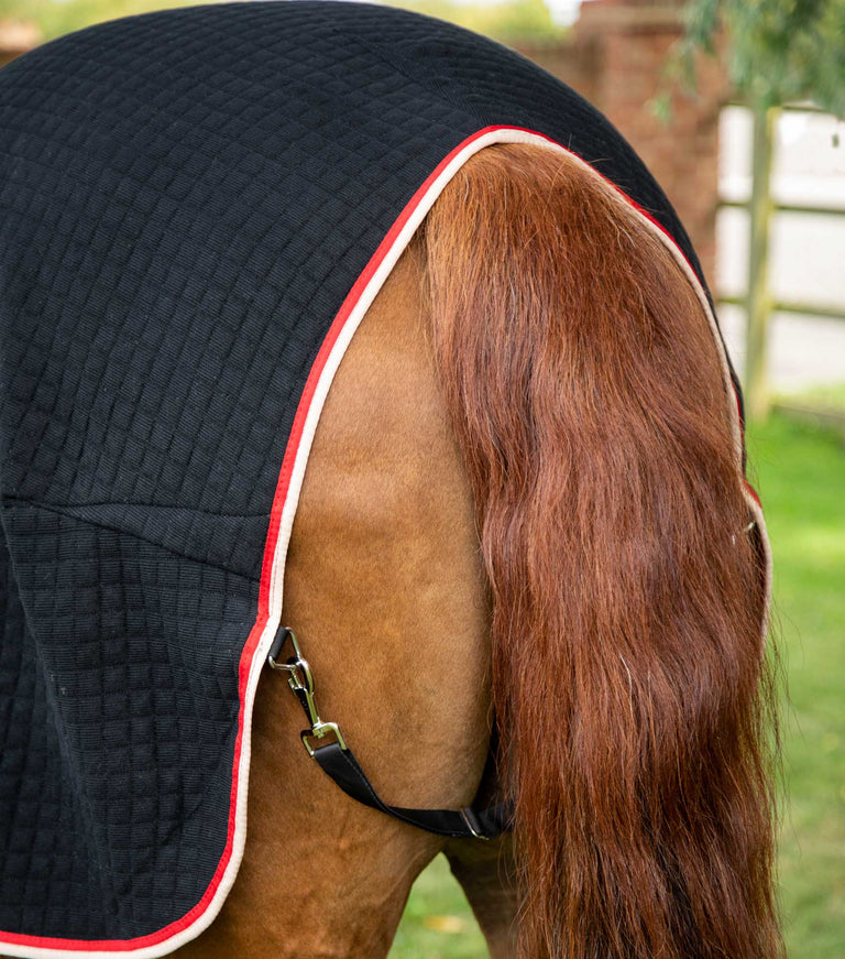 PremTex Horse Cooler Rug