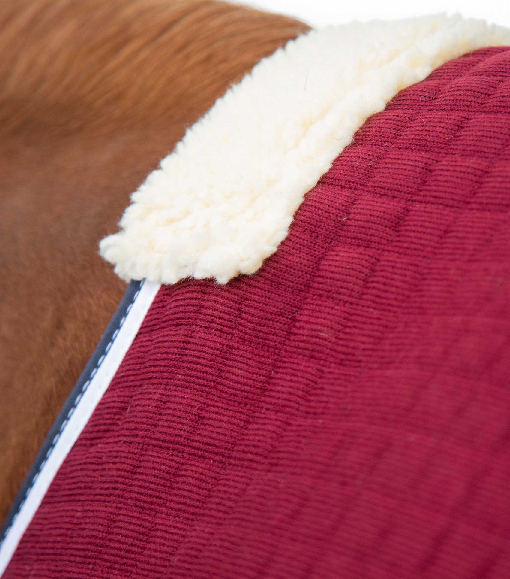 PremTex Cooler Rug Burgundy Premier Equine Int. Ltd.