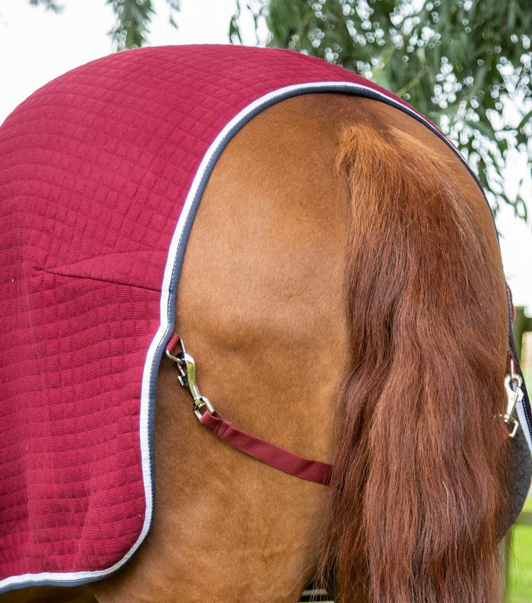 PremTex Horse Cooler Rug