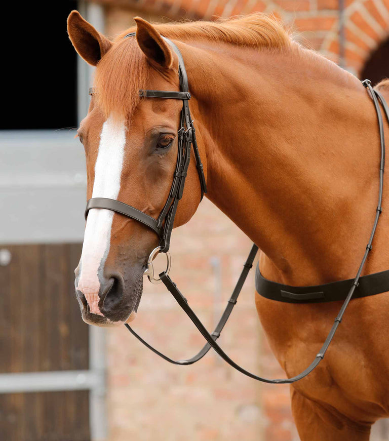 MARKED - Primo Hunter Bridle