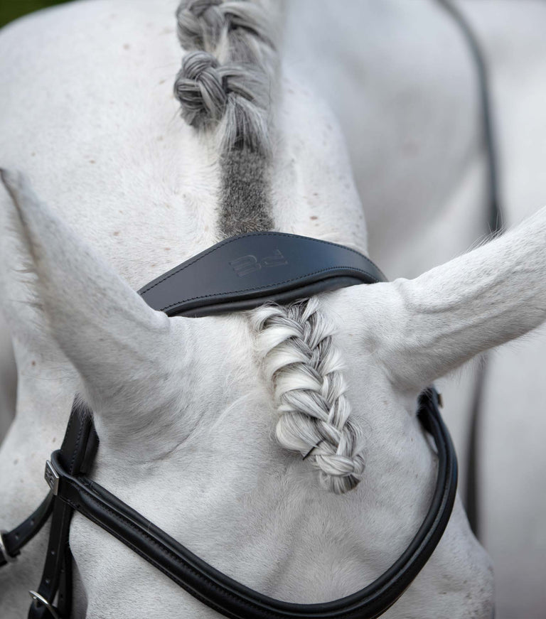 Rizzo Anatomic Snaffle Bridle with Flash