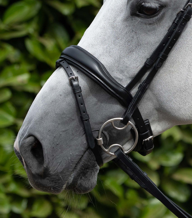 Rizzo Anatomic Flash Noseband