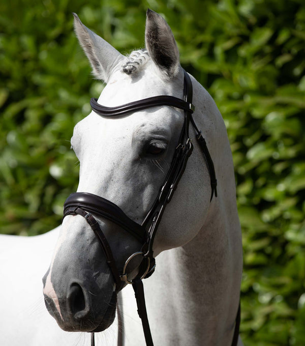 MARKED - Rizzo Anatomic Snaffle Bridle with Flash