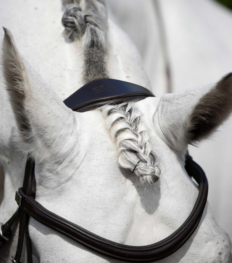 Rizzo Anatomic Snaffle Bridle with Flash