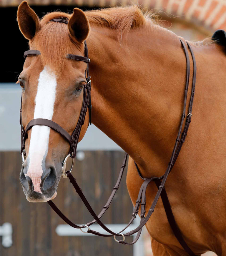 Santadi Adjustable Running Martingale