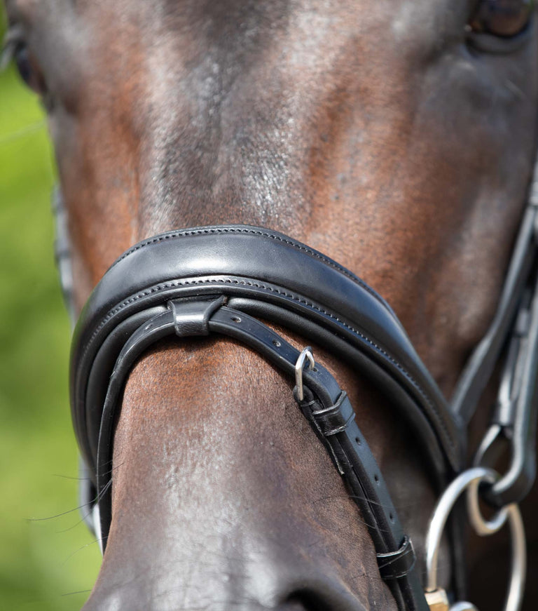 Stellazio Anatomic Snaffle Bridle with Flash