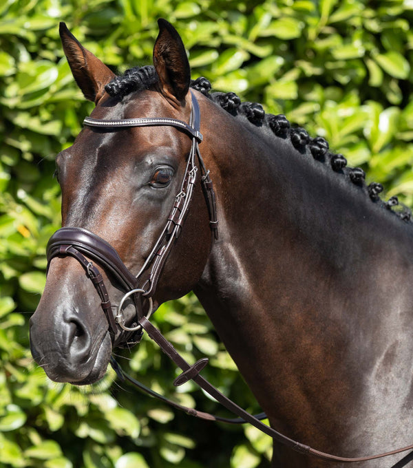 Stellazio Anatomic Snaffle Bridle with Flash