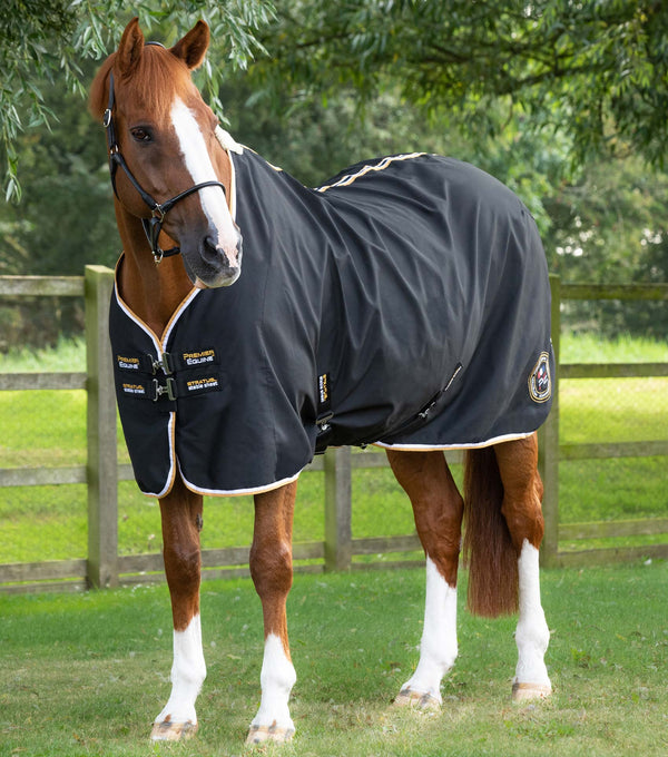 MARKED - Stratus Horse Stable Sheet