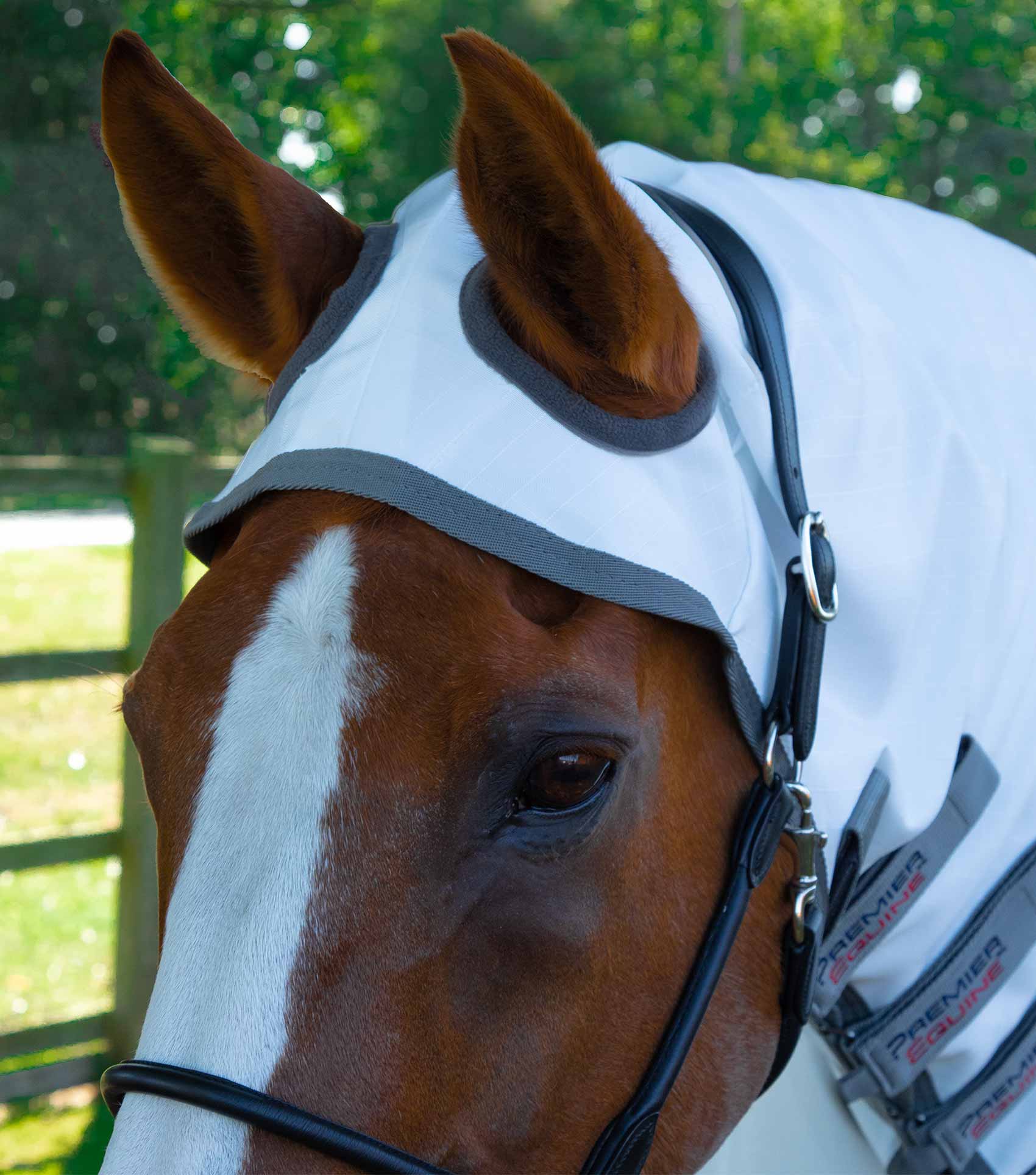 Sweet Itch Buster Fly Rug with Belly Flap Premier Equine Int. Ltd.