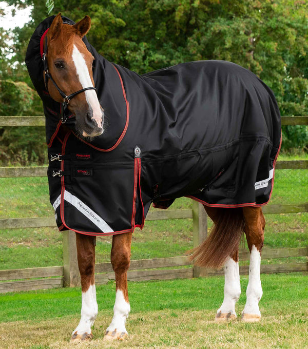 Titan 450 Turnout Rug with Neck Cover