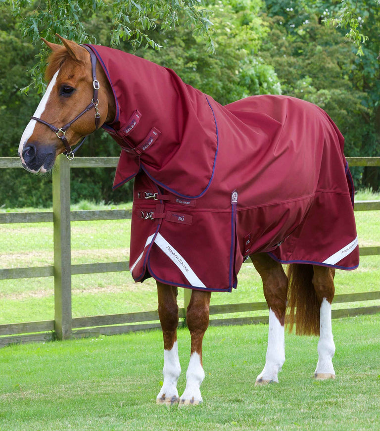 MARKED - Titan 50g Turnout Rug with Classic Neck Cover