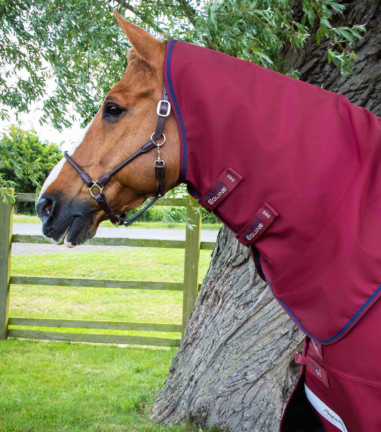 Titan 50g Turnout Rug with Classic Neck Cover
