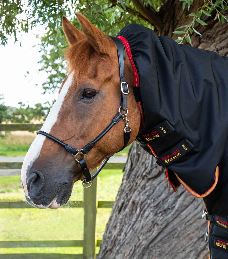 Titan Storm 450g Combo Turnout Rug with Snug-Fit Neck