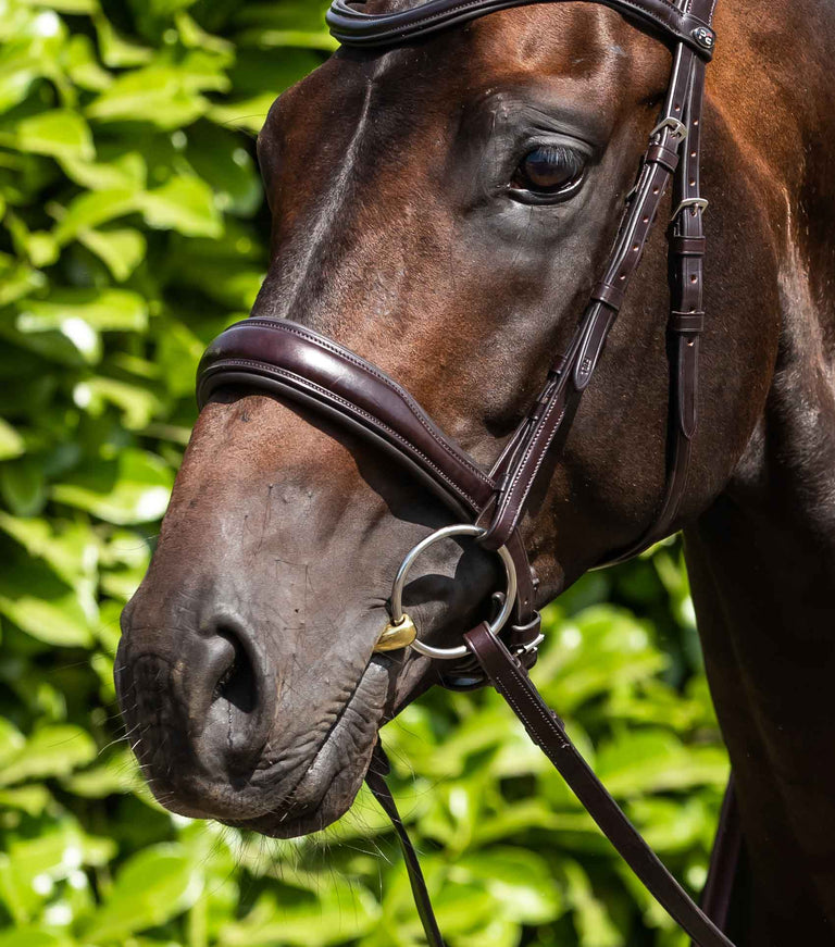 Brass Alloy Training Bit with Lozenge