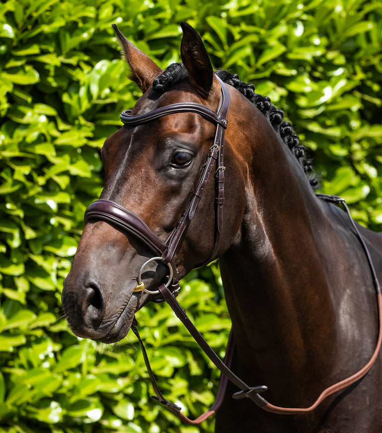 Liscio Plain Shaped Leather Browband