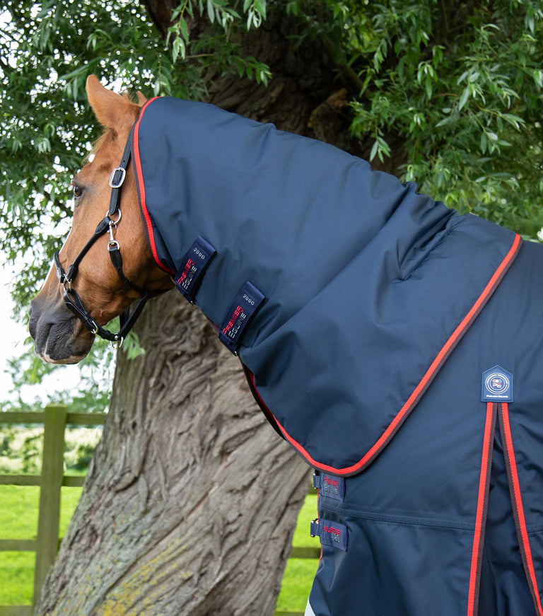 Buster 420g Turnout Rug with Classic Neck Cover