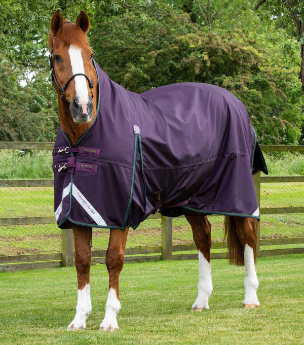 Buster Hardy 100g Half Neck Turnout Rug