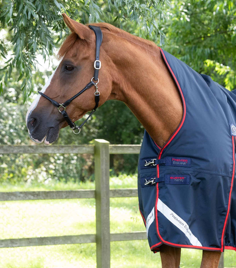 Buster Hardy 200g Half Neck Turnout Rug