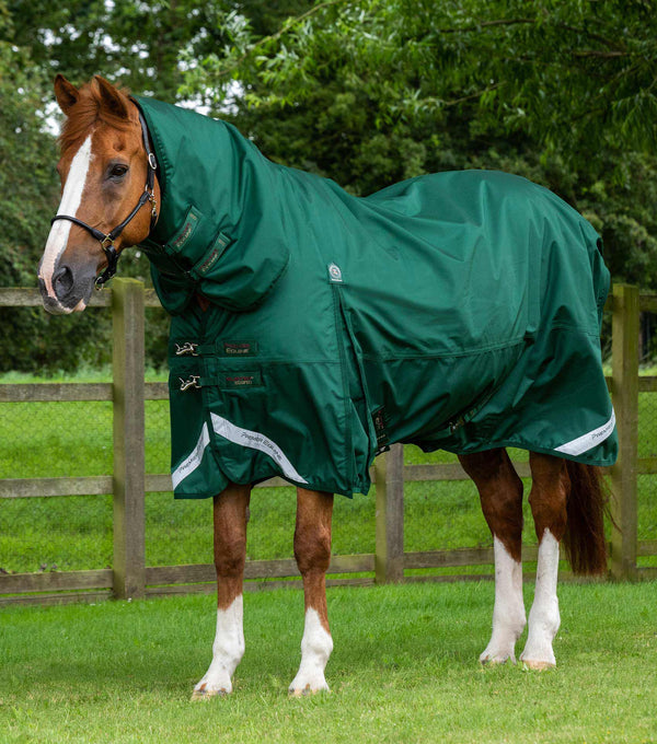 Buster Storm 220g Combo Turnout Rug with Classic Neck