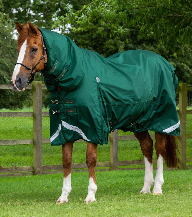 EX DISPLAY - Buster Storm 220g Combo Turnout Rug with Classic Neck