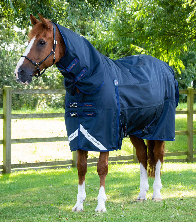 Buster Storm 420g Combo Turnout Rug with Classic Neck