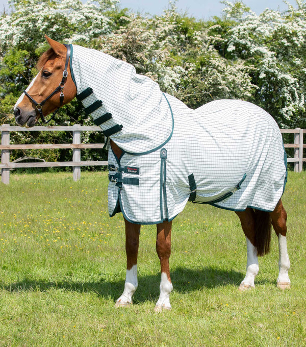 Combo Cotton Stable Sheet