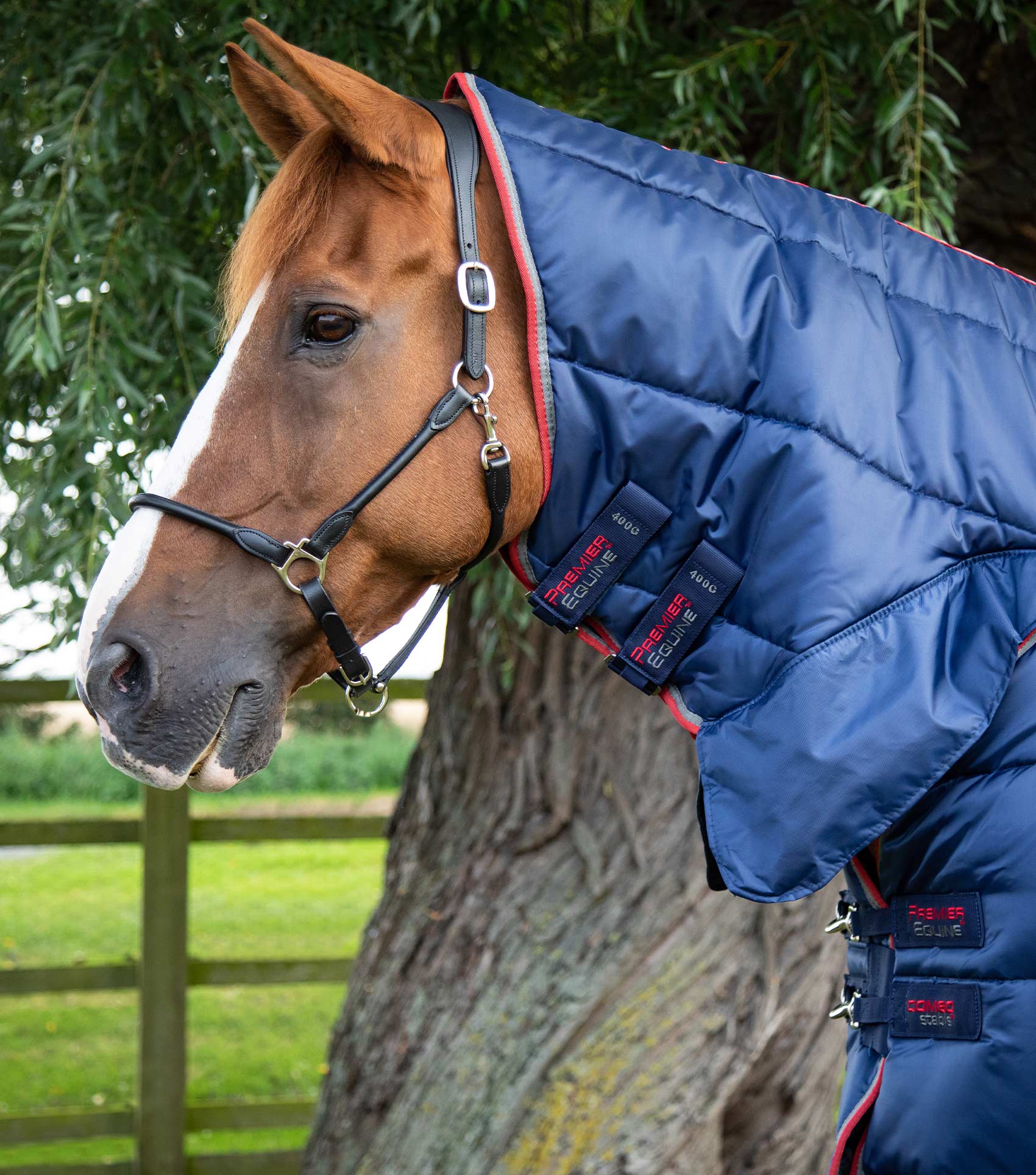 Stable Rug For Cobs Combo Stable Rug 400g Navy