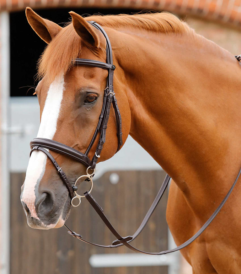 MARKED - Delizioso Snaffle Bridle