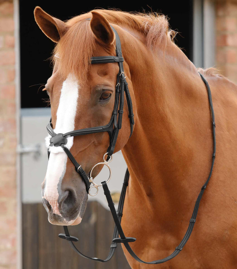 Domenico Web & Rubber Grip Reins
