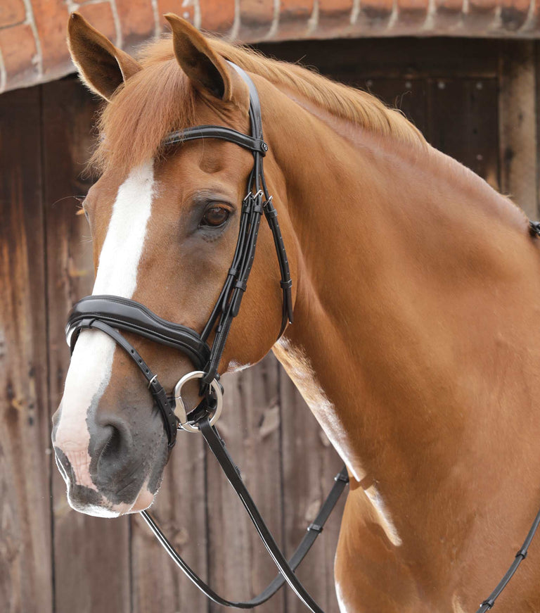 MARKED - Favoloso Anatomic Bridle with Crank Noseband