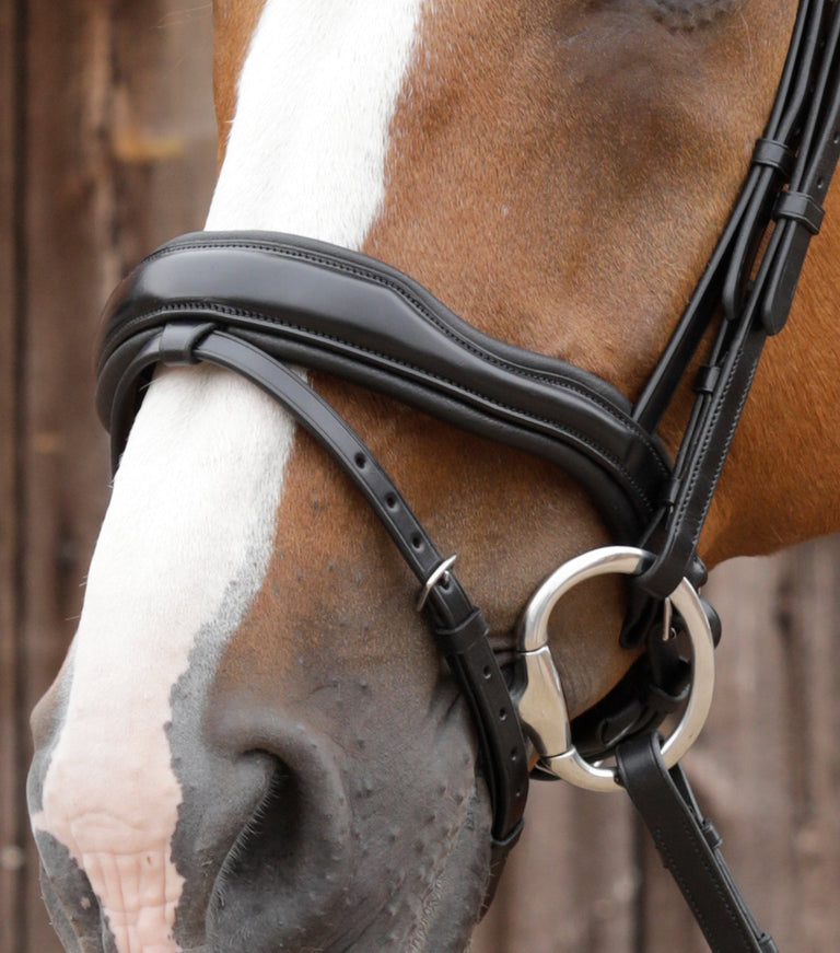 Favoloso Anatomic Bridle with Crank Noseband