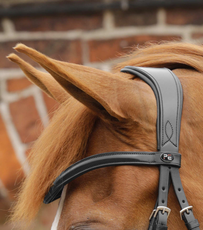 Favoloso Anatomic Bridle with Crank Noseband