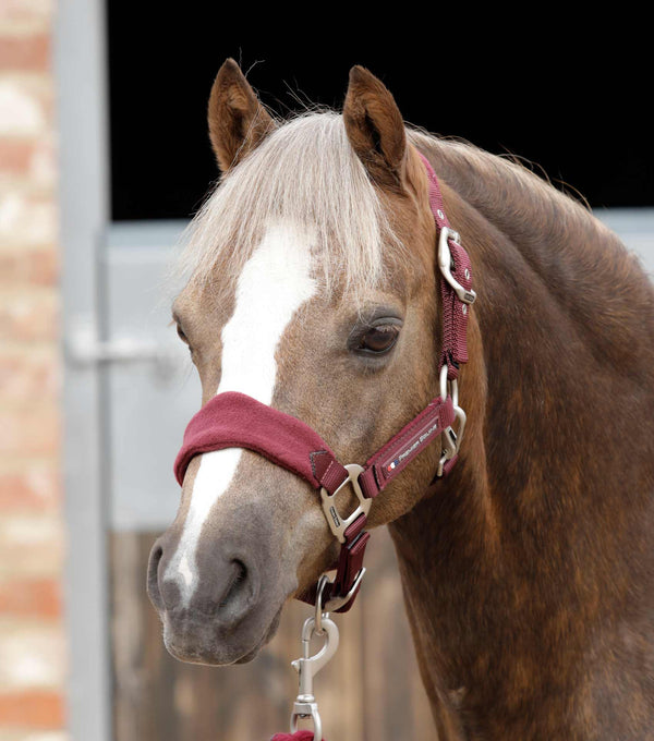 Fleece Padded Pony Head Collar