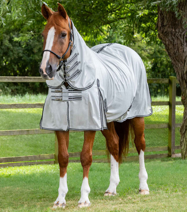 Fly Rug Use Horse Fly Rugs — Durable and Effective Fly Protection
