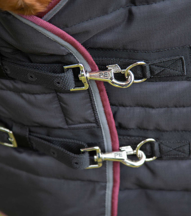 Garissa Stable Rug 200