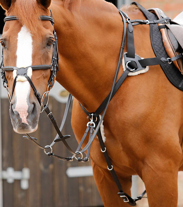 MARKED - Invorio 5 Point Breastplate