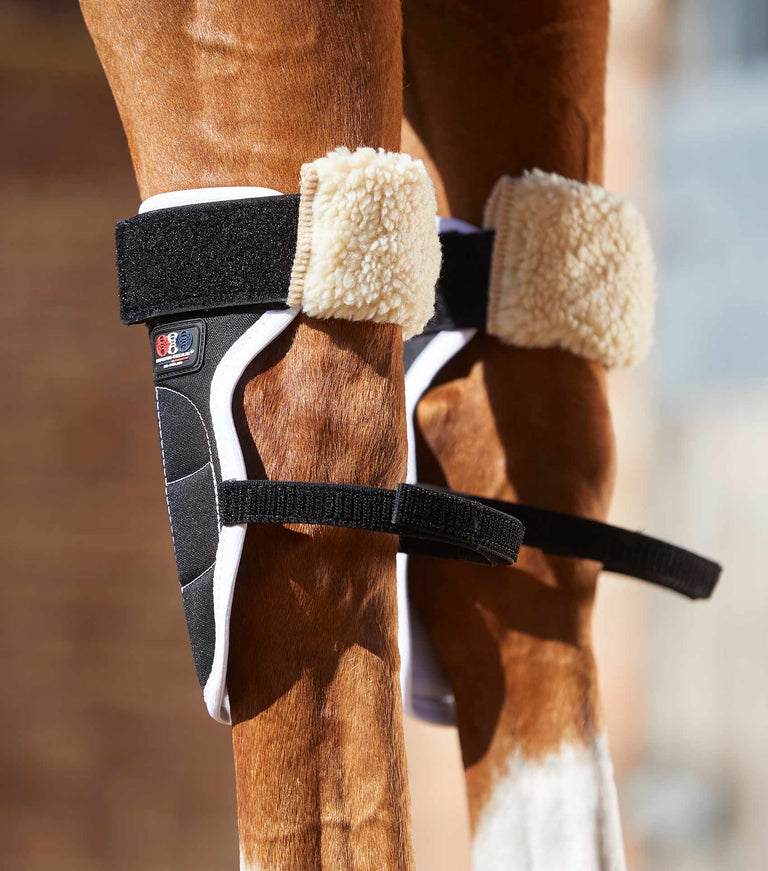 Bi Polar Magnet Horse Knee Boots